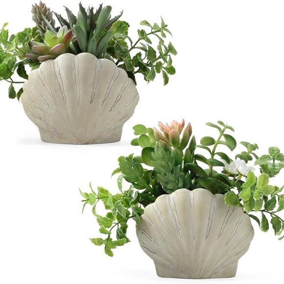 NEW Set of 2, Assorted Faux Succulents Artificial Plants with Sea Shell Pots - Picture 1 of 8